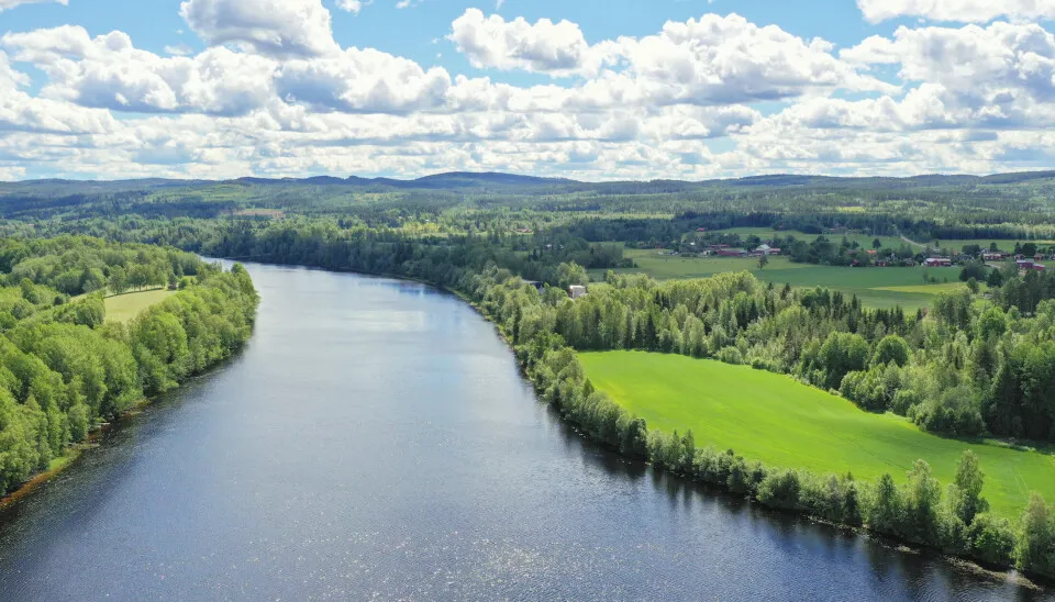 Flottning och träindustrins storhetstid